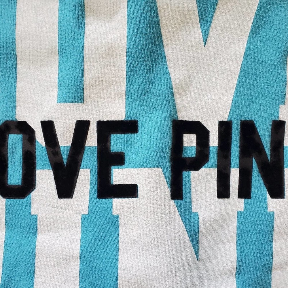 PINK VICTORIA'S SECRET LIGHT BLUE HOODIE - Picture 4 of 6
